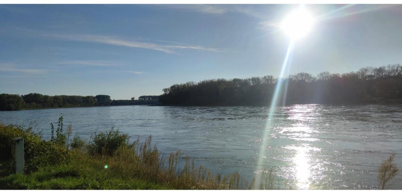 Appartamento Urlaub Am Rhein Speyer Hockenheim Altlussheim Esterno foto