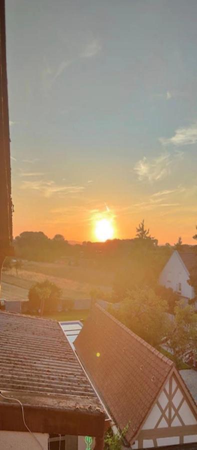 Appartamento Urlaub Am Rhein Speyer Hockenheim Altlussheim Esterno foto