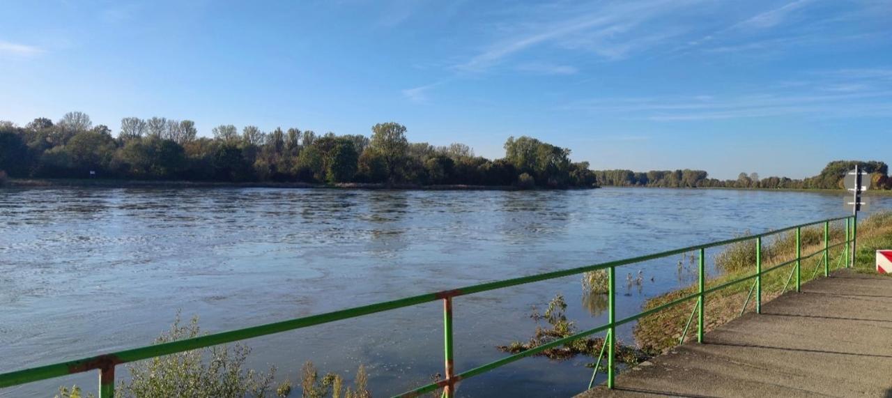 Appartamento Urlaub Am Rhein Speyer Hockenheim Altlussheim Esterno foto